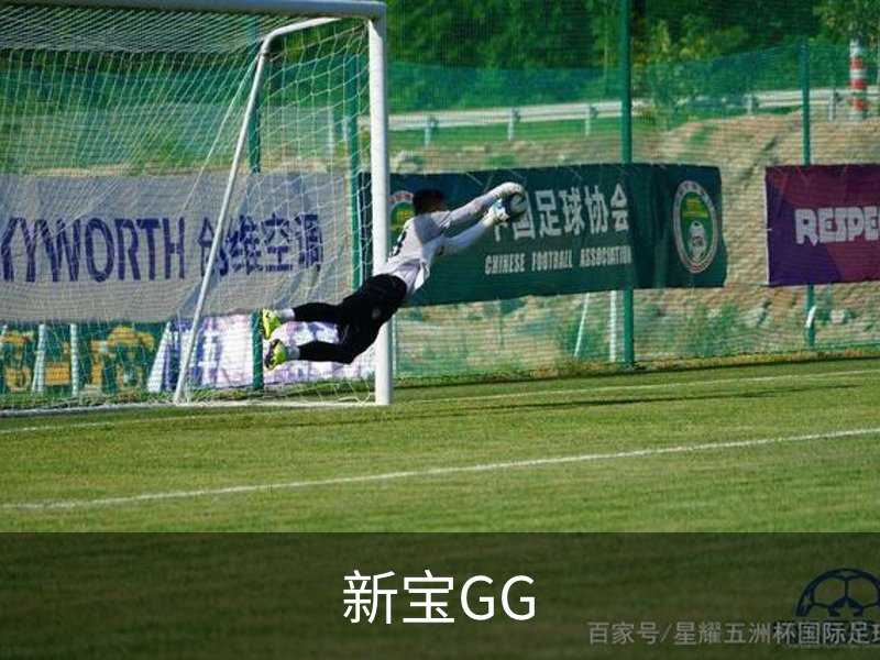 走进新宝GG